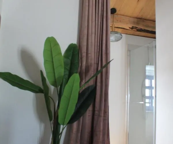 Casas Da Fortaleza * Lugo